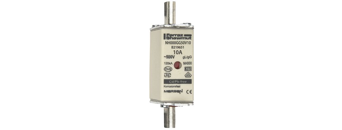 B219651 - NH fuse-link gG, 500VAC, size 000, 10A double indicator/live tags